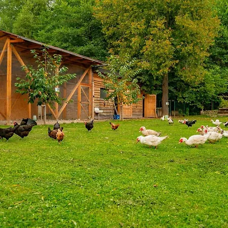 Farm stay Farma Zelena Ruza
