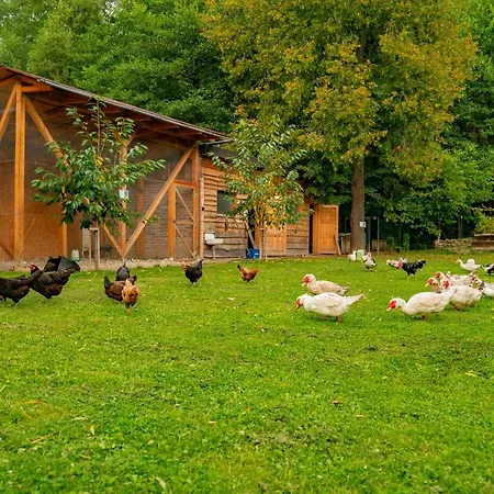 בית חווה Farma Zelena Ruza