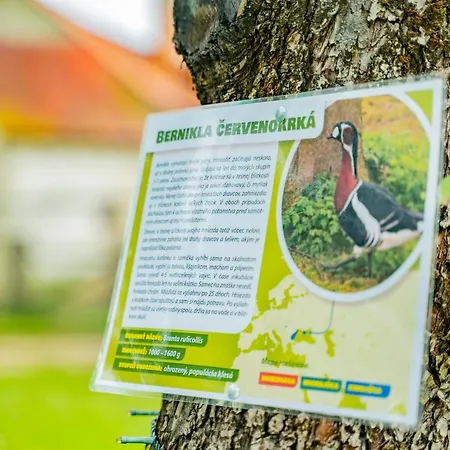 Farm stay Farma Zelena Ruza