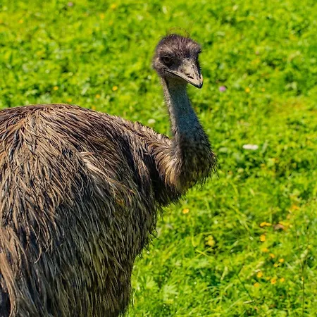 בית חווה Farma Zelena Ruza