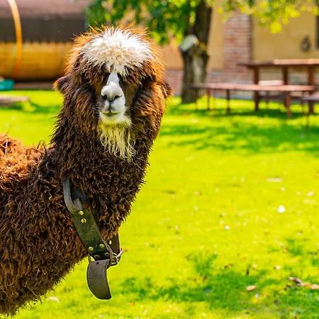 Farma Zelena Ruza בית חווה Klacno