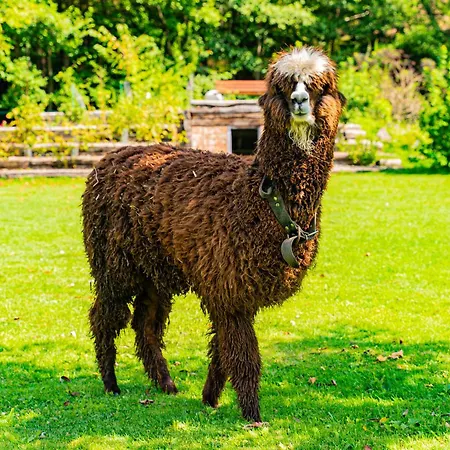 Κατάλυμα σε φάρμα Farma Zelena Ruza Klacno
