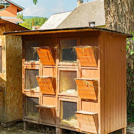 Farma Zelena Ruza Klacno