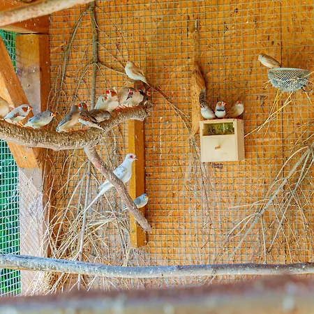 Farma Zelena Ruza Farmház *