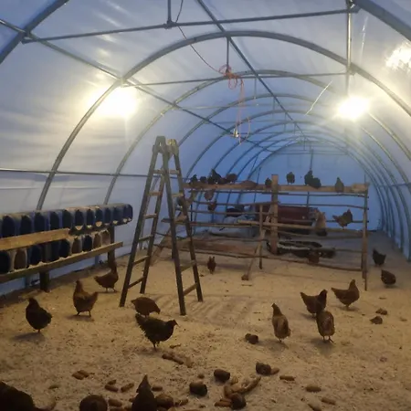 Farma Farma Zelena Ruza Klacno