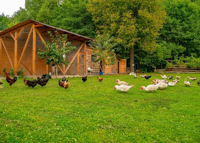 팜스테이 Farma Zelena Ruza