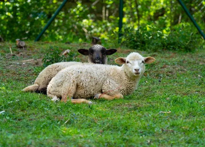 Farma Zelena Ruza Klacno