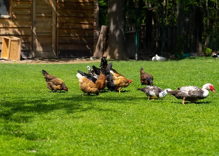 Farma Zelena Ruza Klacno