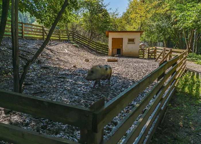 Farma Zelena Ruza 팜스테이