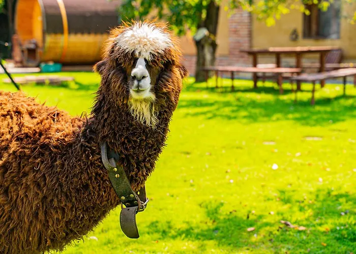 Farma Zelena Ruza 팜스테이 Klacno