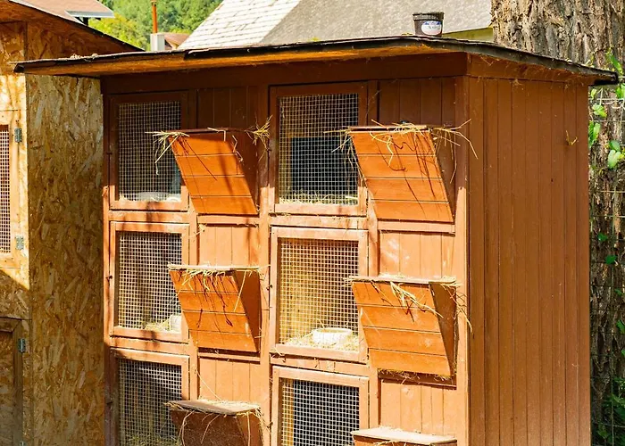 Farma Zelena Ruza Klacno