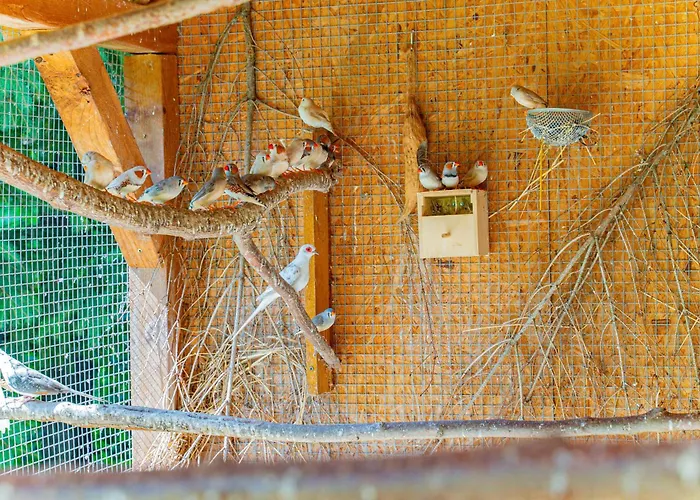 Farma Zelena Ruza 팜스테이 *